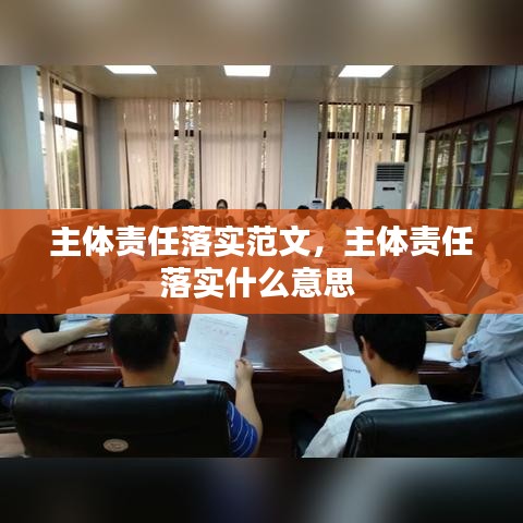 主体责任落实范文，主体责任落实什么意思 