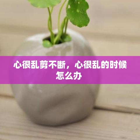 心很乱剪不断，心很乱的时候怎么办 