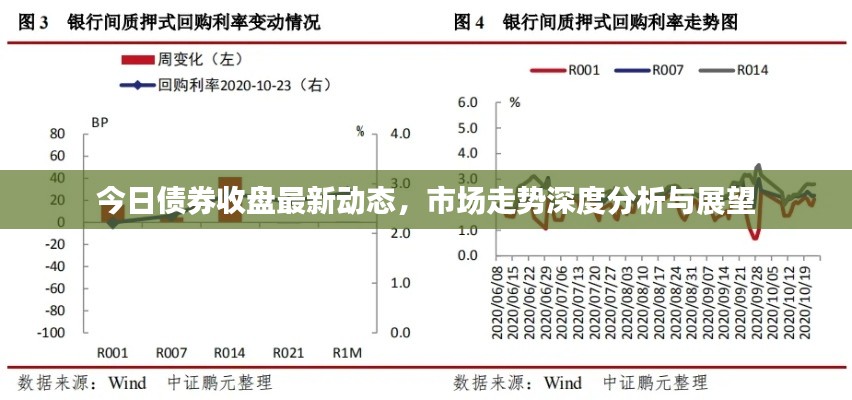 今日债券收盘最新动态，市场走势深度分析与展望