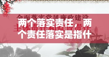 两个落实责任，两个责任落实是指什么 