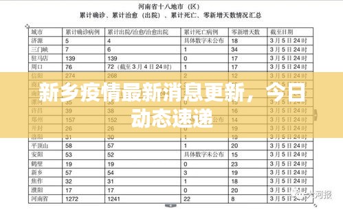 新乡疫情最新消息更新，今日动态速递