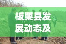 板栗县发展动态及民生改善新闻速递