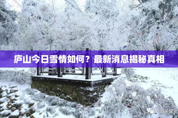 庐山今日雪情如何？最新消息揭秘真相