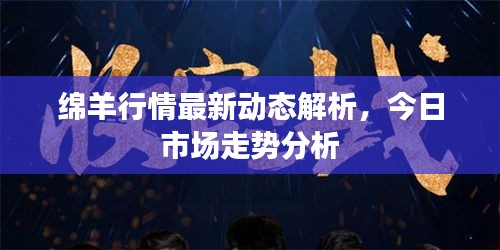 绵羊行情最新动态解析，今日市场走势分析