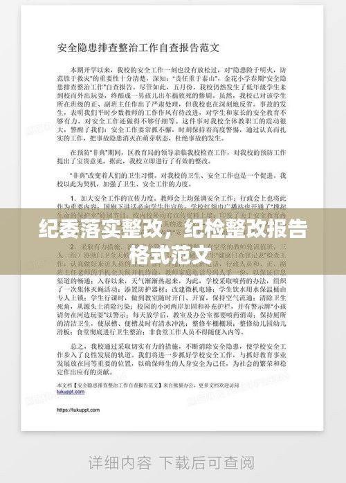 纪委落实整改，纪检整改报告格式范文 