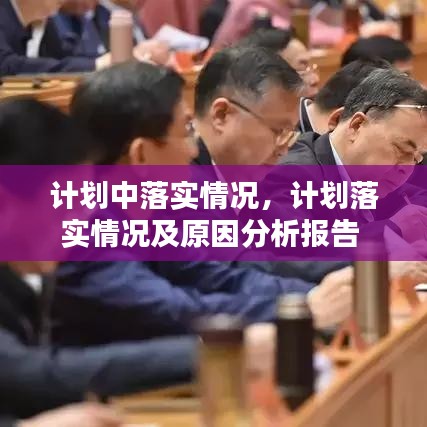 计划中落实情况，计划落实情况及原因分析报告 