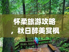 怀柔旅游攻略，秋日醉美赏枫之旅