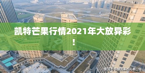 凯特芒果行情2021年大放异彩！