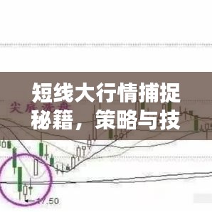 短线大行情捕捉秘籍，策略与技巧深度解析