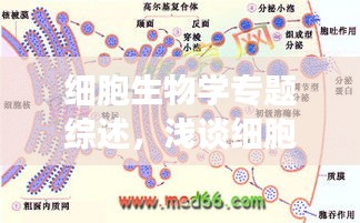 细胞生物学专题综述，浅谈细胞生物学 