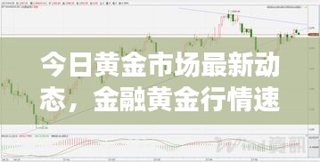 今日黄金市场最新动态，金融黄金行情速递