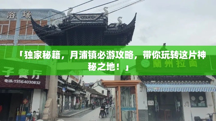 「独家秘籍，月浦镇必游攻略，带你玩转这片神秘之地！」