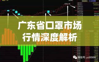 广东省口罩市场行情深度解析