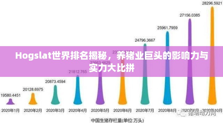 Hogslat世界排名揭秘，养猪业巨头的影响力与实力大比拼