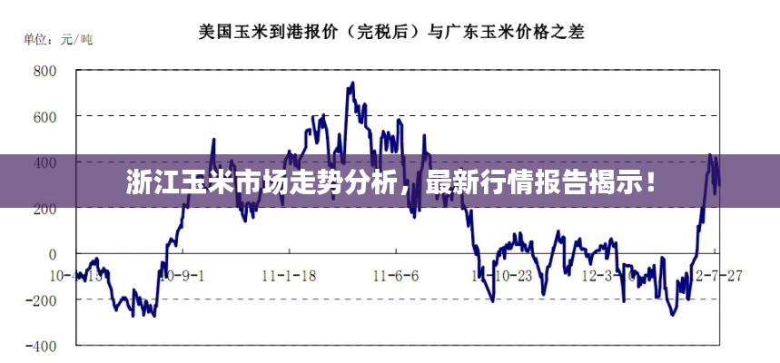 浙江玉米市场走势分析，最新行情报告揭示！