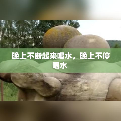 晚上不断起来喝水，晚上不停喝水 