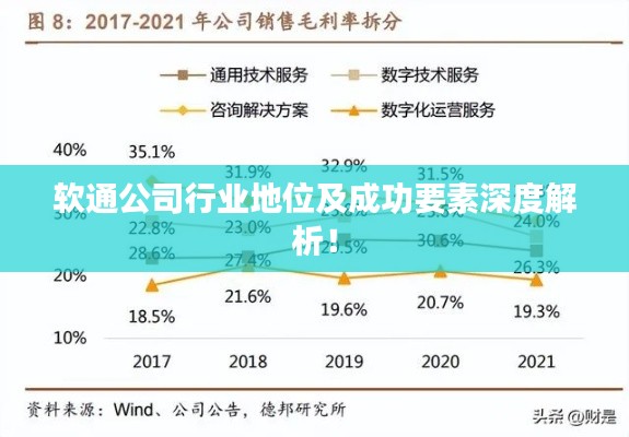 软通公司行业地位及成功要素深度解析！