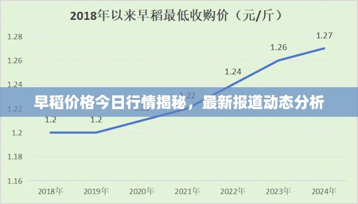 早稻价格今日行情揭秘，最新报道动态分析