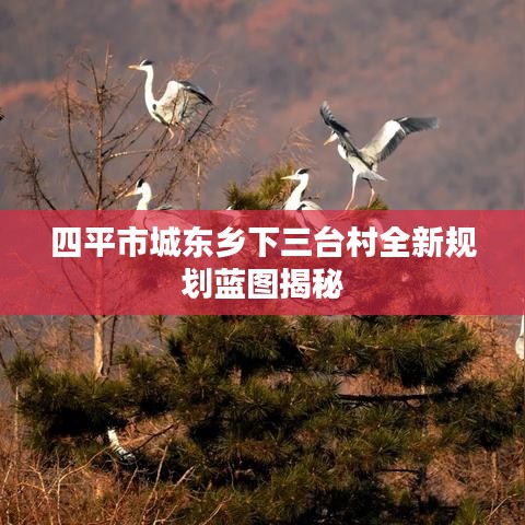 四平市城东乡下三台村全新规划蓝图揭秘