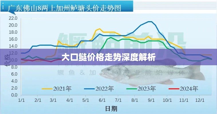 大口鲢价格走势深度解析