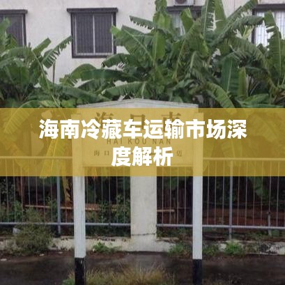 海南冷藏车运输市场深度解析