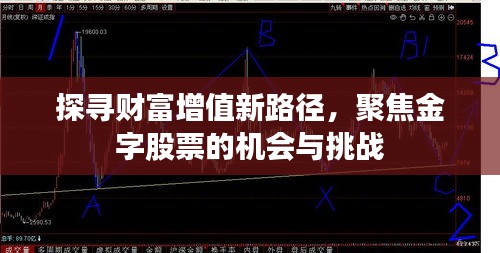 探寻财富增值新路径，聚焦金字股票的机会与挑战