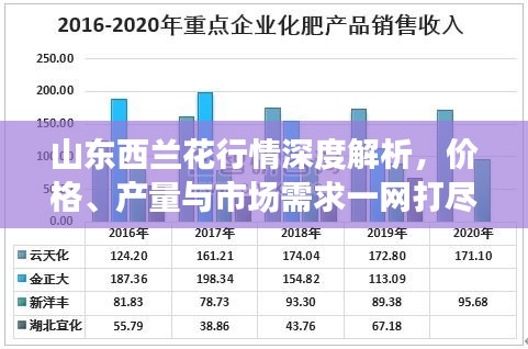 山东西兰花行情深度解析，价格、产量与市场需求一网打尽！