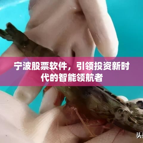 宁波股票软件，引领投资新时代的智能领航者