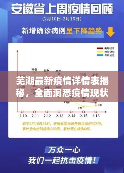 芜湖最新疫情详情表揭秘，全面洞悉疫情现状与发展趋势