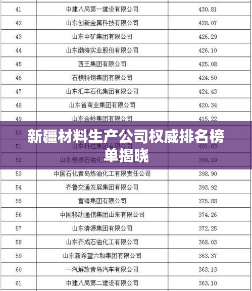 新疆材料生产公司权威排名榜单揭晓