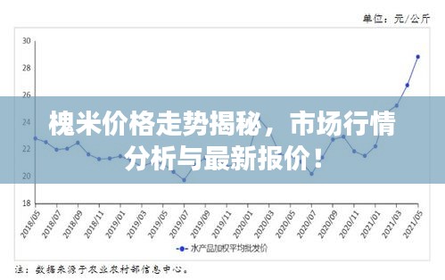 槐米价格走势揭秘，市场行情分析与最新报价！