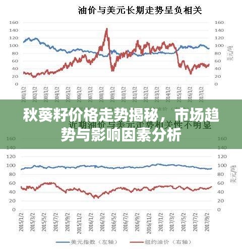 秋葵籽价格走势揭秘，市场趋势与影响因素分析