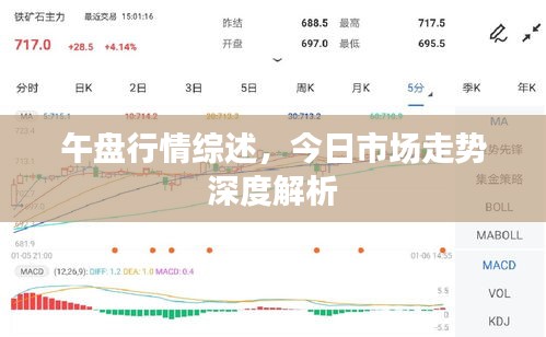 午盘行情综述，今日市场走势深度解析