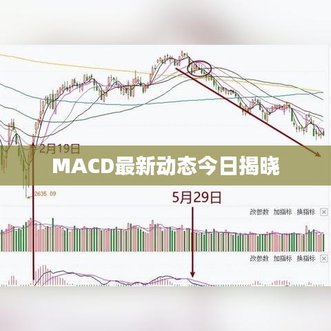 MACD最新动态今日揭晓