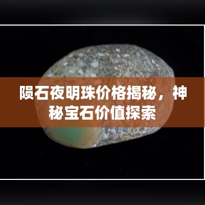 陨石夜明珠价格揭秘，神秘宝石价值探索