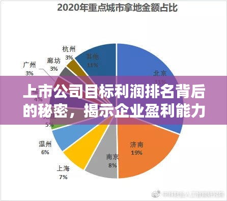 上市公司目标利润排名背后的秘密，揭示企业盈利能力的真相！