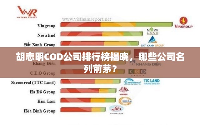 胡志明COD公司排行榜揭晓，哪些公司名列前茅？