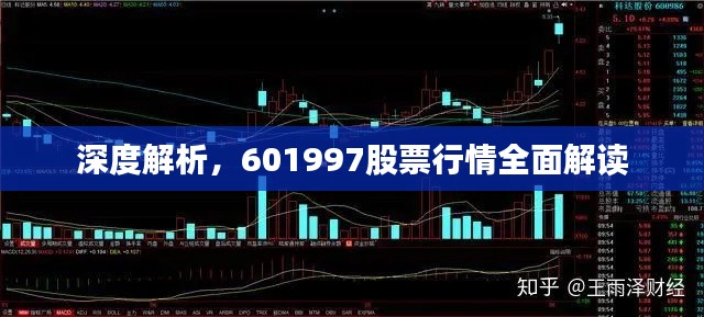 深度解析，601997股票行情全面解读