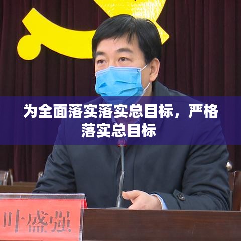 为全面落实落实总目标，严格落实总目标 