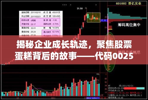 揭秘企业成长轨迹，聚焦股票蛋糕背后的故事——代码002513