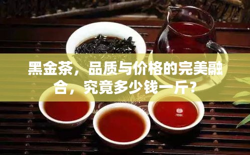 黑金茶，品质与价格的完美融合，究竟多少钱一斤？