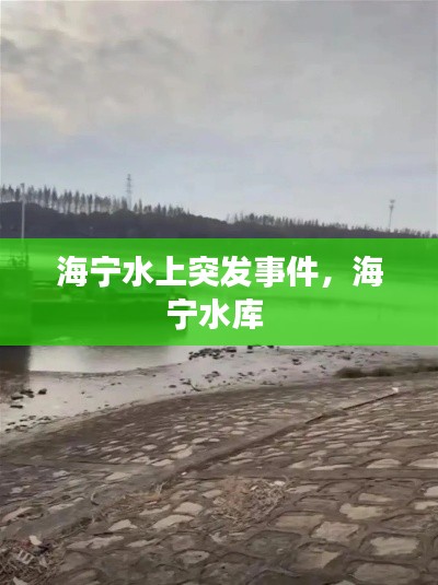 海宁水上突发事件，海宁水库 