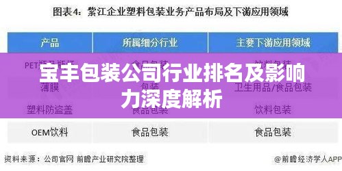 宝丰包装公司行业排名及影响力深度解析