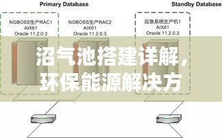 沼气池搭建详解，环保能源解决方案实践指南