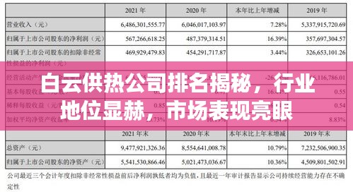 白云供热公司排名揭秘，行业地位显赫，市场表现亮眼