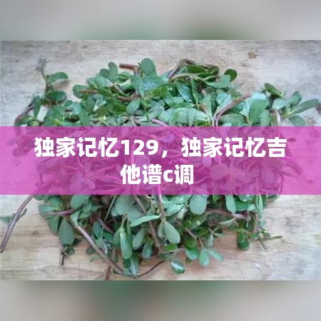 独家记忆129，独家记忆吉他谱c调 