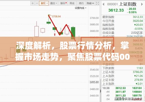 深度解析，股票行情分析，掌握市场走势，聚焦股票代码000659