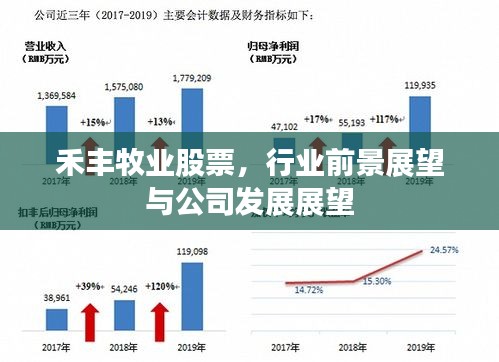 禾丰牧业股票，行业前景展望与公司发展展望