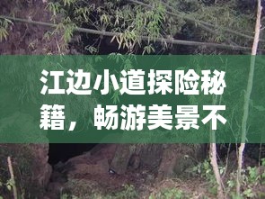 江边小道探险秘籍，畅游美景不迷路！