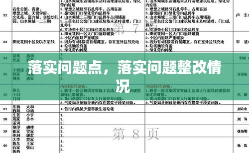 落实问题点，落实问题整改情况 